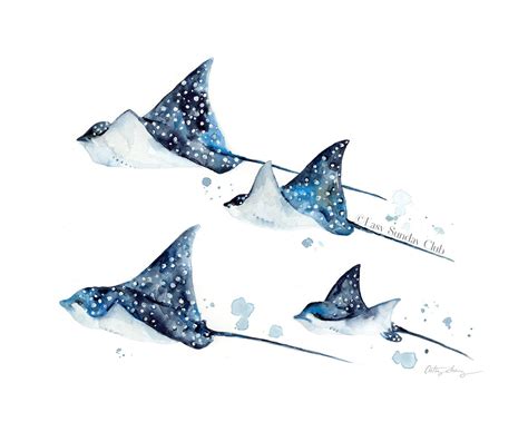 Family of Spotted Eagle Rays - Watercolor Art Print | Under the Sea in 2021 | Watercolor art ...