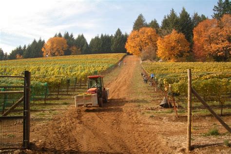 12 Best Hood River Wineries to Visit in Northern Oregon - Go Wander Wild