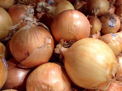 Sweet Vidalia onions set to ship soon – Sowegalive