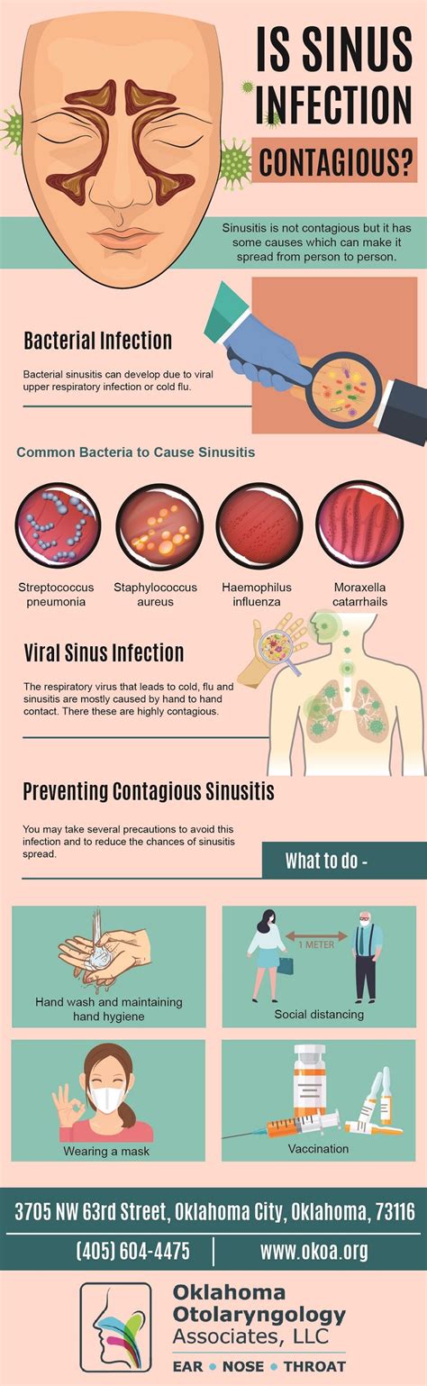 Is Sinus Infection Contagious? (Infographic)