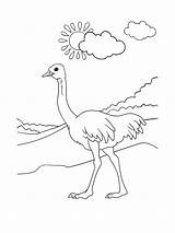Ostrich coloring Page sketch template