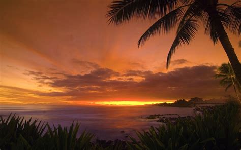 🔥 [102+] Tropical Island Sunset Wallpapers | WallpaperSafari