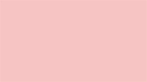 Baby Pink Solid Color Background: 1000+ Free Download Vector, Image, PNG, PSD Files