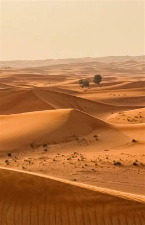 El Desierto Del Sahara