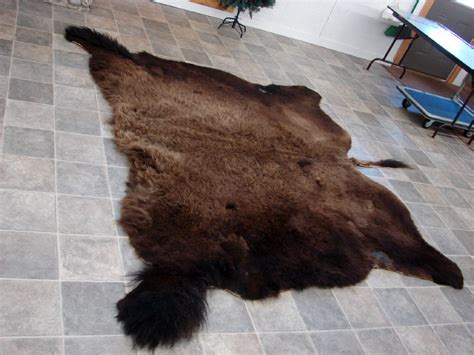 Huge Real Buffalo Rug Hide Taxidermy Tanned Fur - Moose-R-Us.Com Log ...