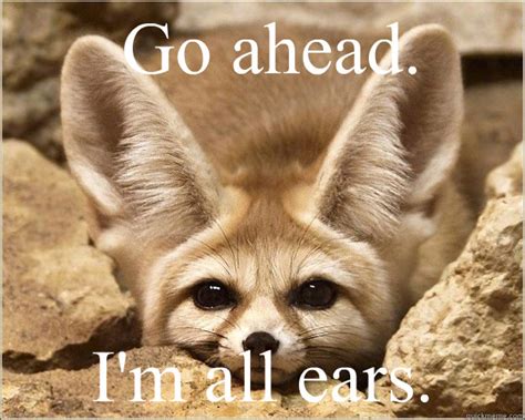 Go ahead. I'm all ears. - Misc - quickmeme