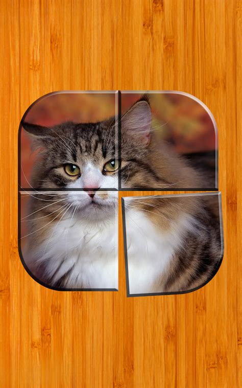 Best Cat Puzzle Games Free - Android Apps on Google Play