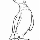 King Penguin Coloring Page At GetColoringscom  Free Printable sketch template