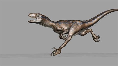 Velociraptor Run Animation Test | Dinosaur pictures, Animation, Animation reference