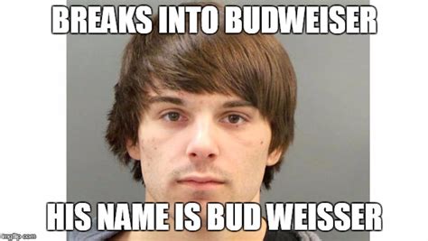 Image tagged in meme,funny,beer,budweiser - Imgflip