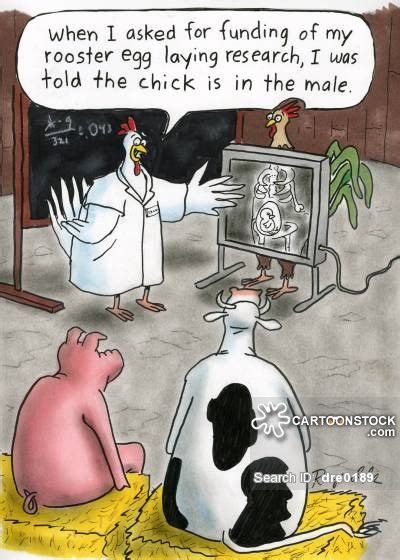 'When I asked for funding of my rooster egg laying research, I was told the chick is in the male.'