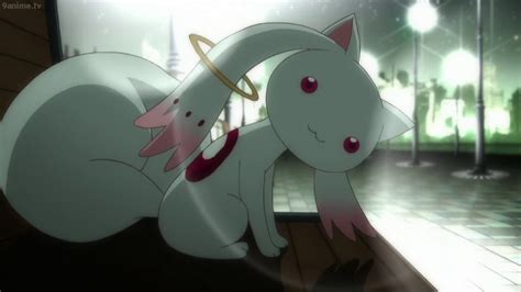 Kyubey Never Saw It Coming *Madoka Magica English Dub Spoilers* - YouTube