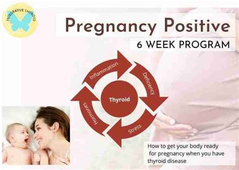 Getting Pregnant with Hashimoto's Disease - Integrative Thyroid