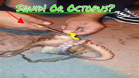 okaloosa Island pier fishing - YouTube