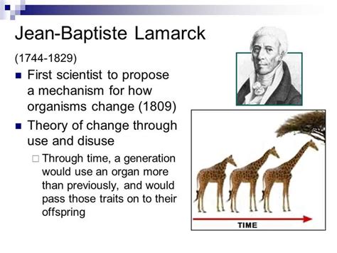 Image result for jean baptiste lamarck theory