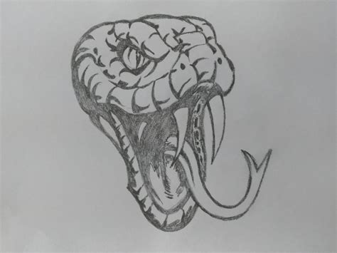 Snake Drawings In Pencil at PaintingValley.com | Explore collection of ...