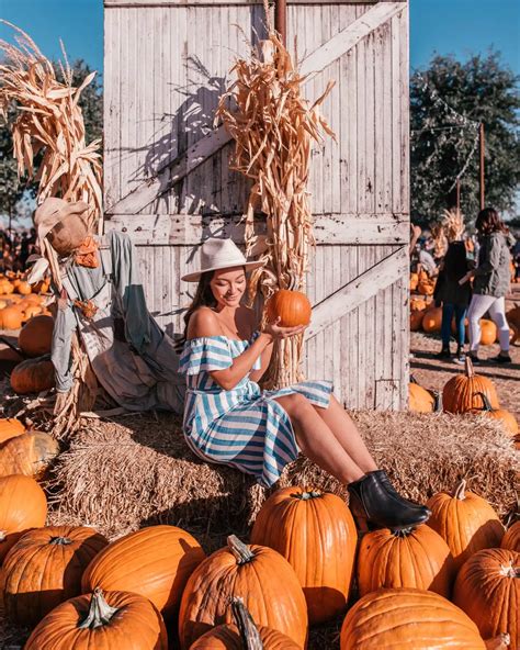 Hall's Pumpkin Farm: The Best Pumpkin Patch near Dallas