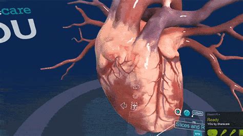 Learning Human Anatomy Via Virtual Reality - News - Hamilton College