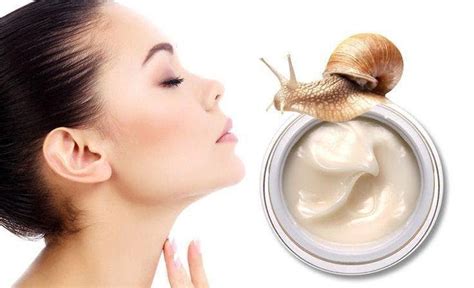 Excellent Skin Benefits of Snail Slime - Skincare Top News