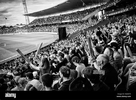 A huge crowd of people in a stadium cheering at a cricket match Stock ...