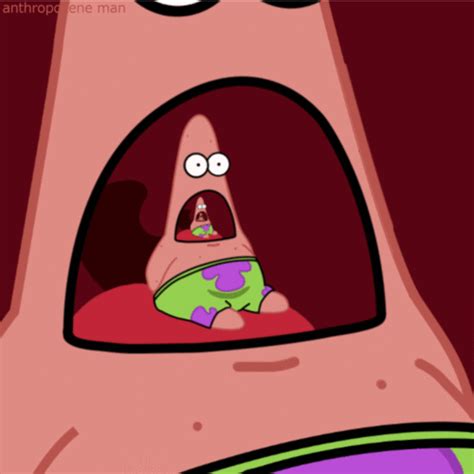 The 25 Funniest Surprised Patrick GIFs Ever