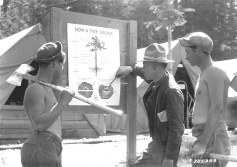 Civilian Conservation Corps-California - Forest History Society