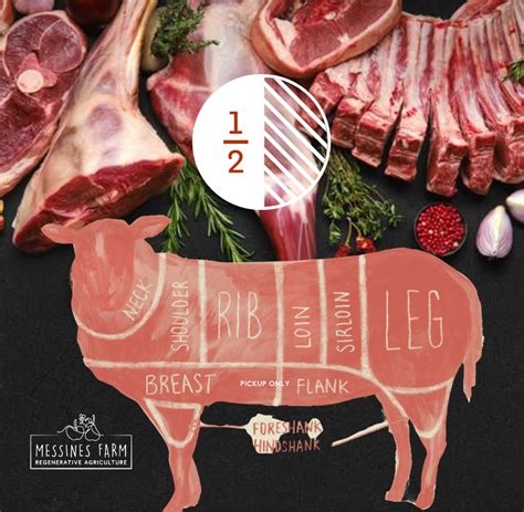 1/2 Grass Fed Lamb (Avg 12kg) **DEPOSIT ONLY – READ DESCRIPTION** Pre-Order for April/May 2024 ...