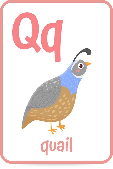 Quirky Words That Start with the Letter Q – AceParents.com