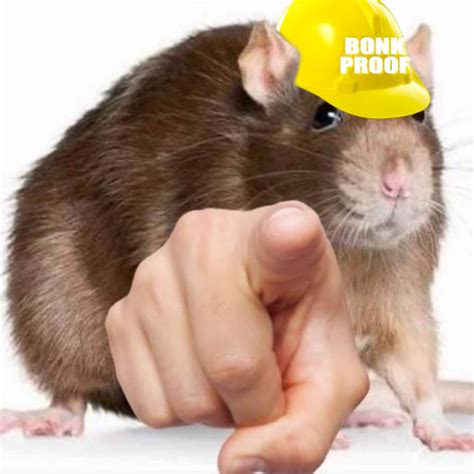 Meme Rat