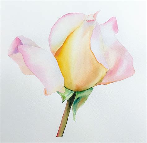 https://maria-raczynska.teachable.com/p/watercolor-rose | Watercolor rose, Rose painting, Best ...