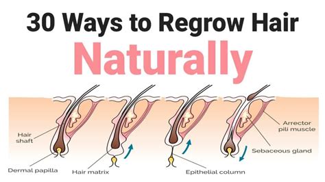 30 Ways to Regrow Hair Naturally