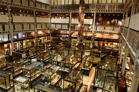 Oxford, England, UK Pitt Rivers Museum - Oxford University | Trip ...