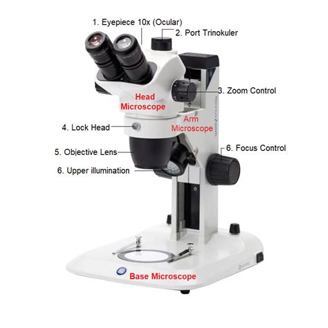 Bagian Bagian pada Mikroskop Stereo