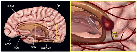 This three-dimensional illustration is a reminder of some important... | Download Scientific Diagram