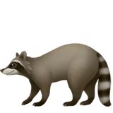 🦝 Raccoon Emoji Meaning with Pictures: from A to Z