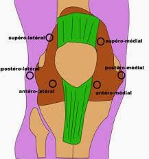 Medical Treatment Pictures-for Better Understanding: Arthroscopic Knee Synovectomy Surgery ...