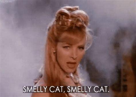 friends phoebe smelly cat tu pues le chat Image, animated GIF