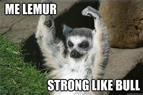 ME Lemur Strong like bull - lemur - quickmeme