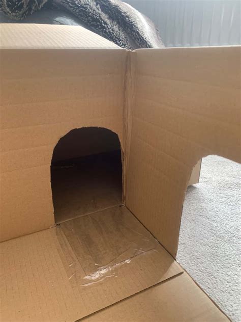 (Easy!) DIY Cardboard Cat House Tutorial - Totally Purrfect