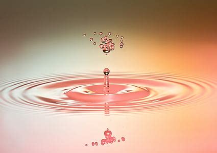 Royalty-Free photo: Water droplet dropped on water photography | PickPik