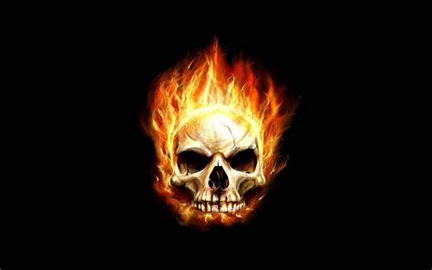 Skull Fire Wallpaper (61+ images)