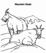 31 Mountain Goat Coloring Pages Ideas  mountain goat coloring sketch template