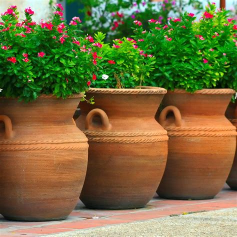 20+ Large Plant Pots Outdoor – ZYHOMY