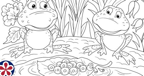 Frog Life Cycle Coloring Pages and Mini-Book For Preschoolers ...