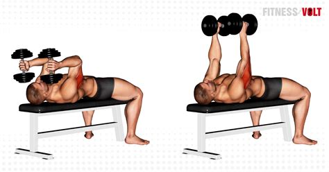 Master the Dumbbell Lying Triceps Extension for Stronger Arms – Fitness Volt