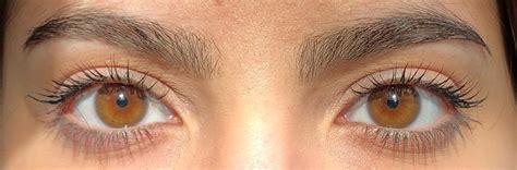 Amber eyes in natural light : r/eyes