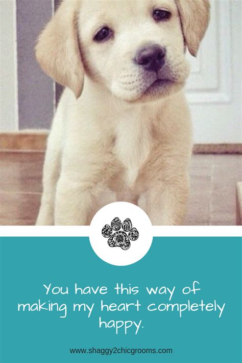 Puppy love quotes. | Puppy love quotes, Puppy love, Puppies