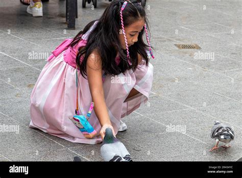 Feeding pigeons in Piazza, Venice Grand Canal Mall, Taguig City, Manila, Philippines Stock Photo ...