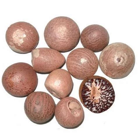 Areca Nut - Exporters in India