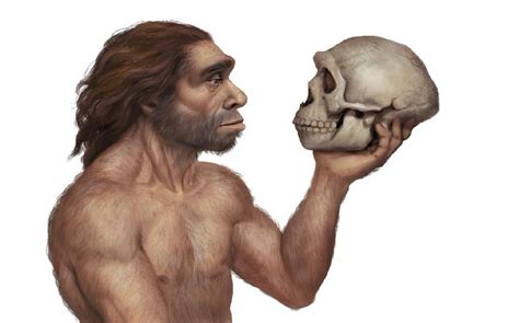 Fosil manusia purba yang tertua di indonesia adalah 2021